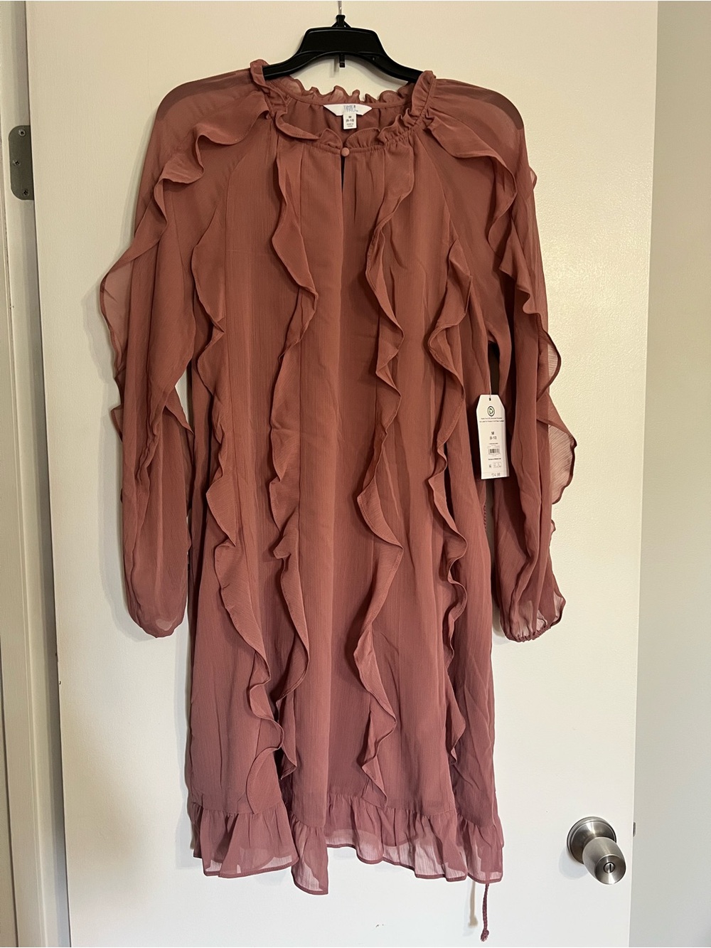 Time & Tru Ruffled Sheer Long Sleeve Dress